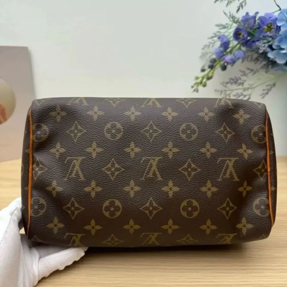 Louis Vuitton brand louis
